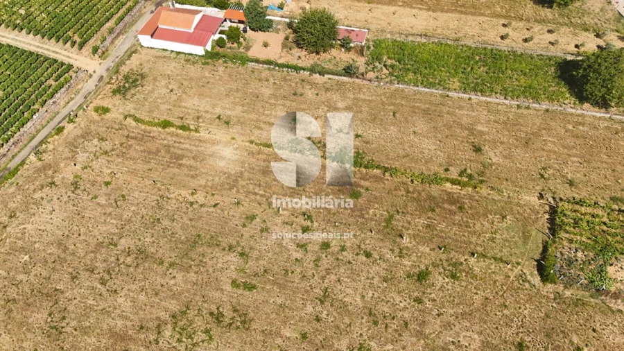 Terreno para Venda em São Martinho de Antas e Paradela de Guiães Foto 15