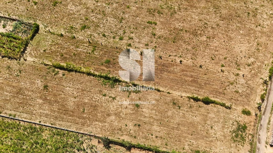 Terreno para Venda em São Martinho de Antas e Paradela de Guiães Foto 16