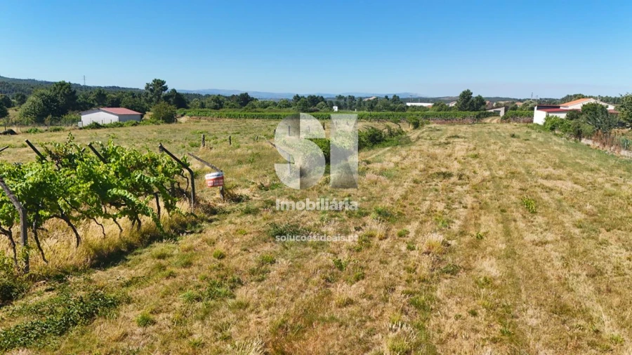 Terreno para Venda em São Martinho de Antas e Paradela de Guiães Foto 2
