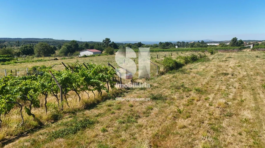 Terreno para Venda em São Martinho de Antas e Paradela de Guiães Foto 3
