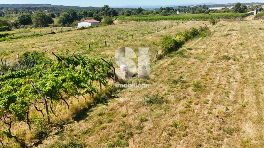 Terreno para Venda em São Martinho de Antas e Paradela de Guiães Foto 4