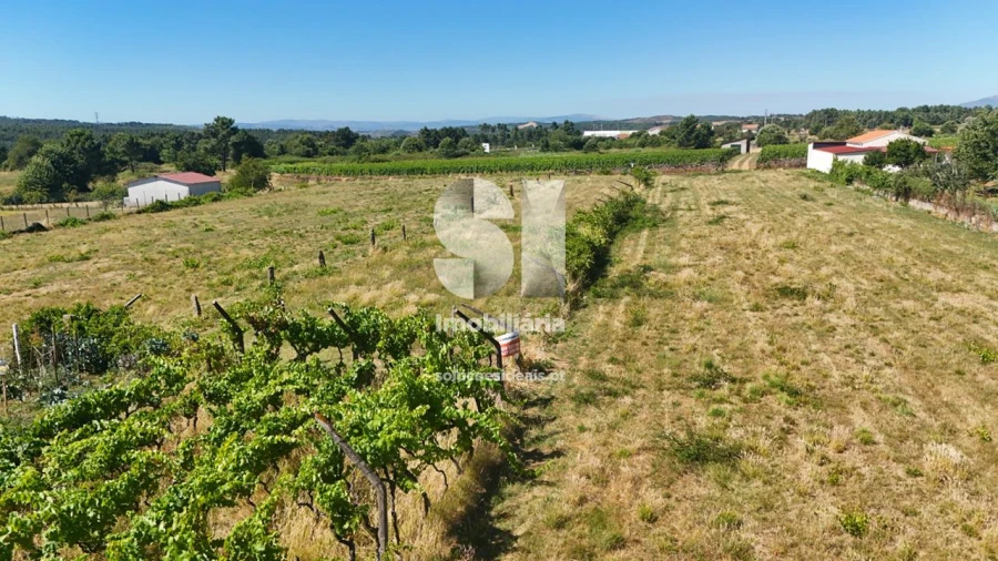 Terreno para Venda em São Martinho de Antas e Paradela de Guiães Foto 1