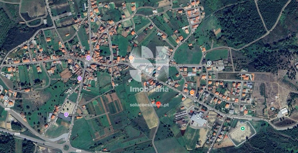 Terreno para Venda em São Martinho de Antas e Paradela de Guiães Foto 21