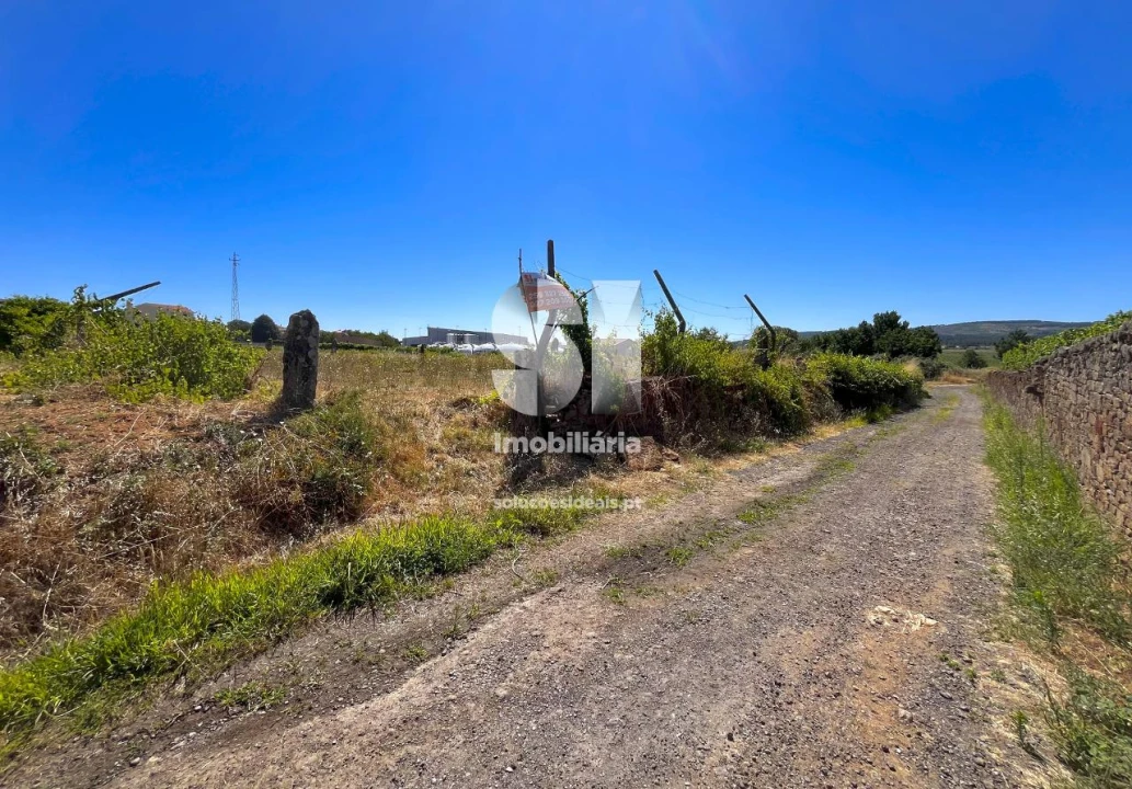 Terreno para Venda em São Martinho de Antas e Paradela de Guiães Foto 19