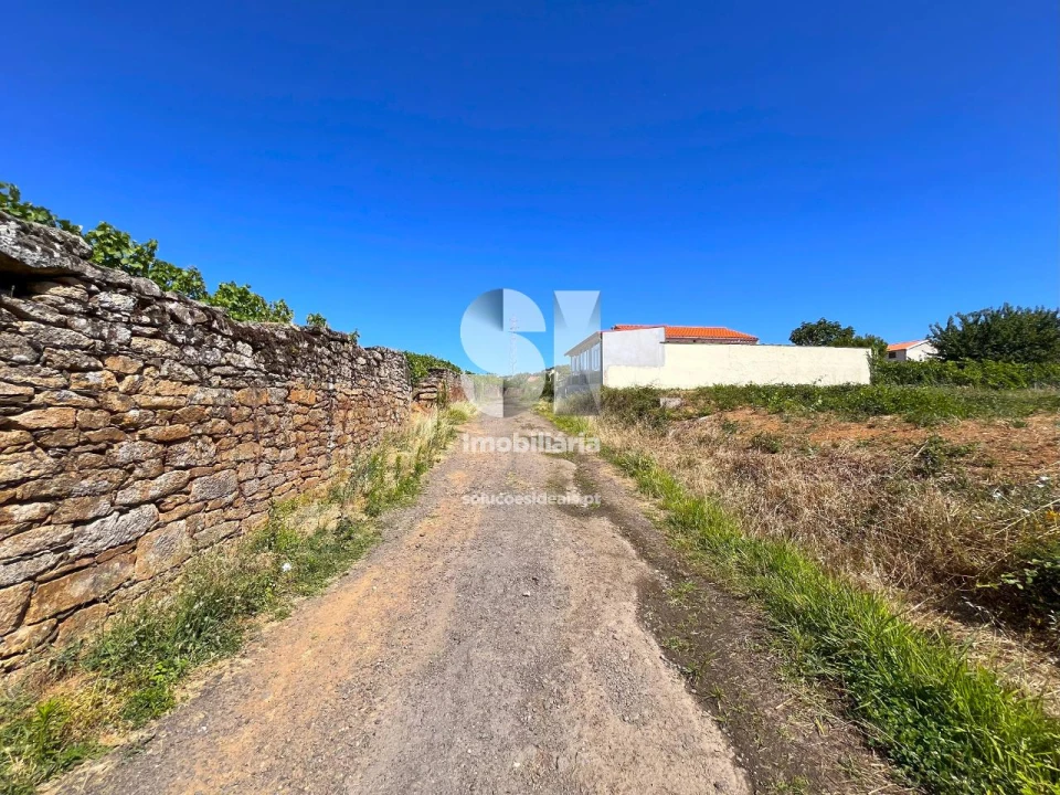 Terreno para Venda em São Martinho de Antas e Paradela de Guiães Foto 20