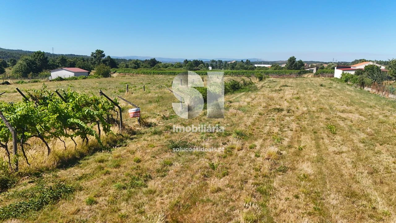 Terreno para Venda em São Martinho de Antas e Paradela de Guiães Foto 2