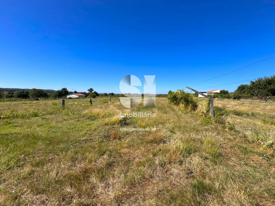 Terreno para Venda em São Martinho de Antas e Paradela de Guiães Foto 13