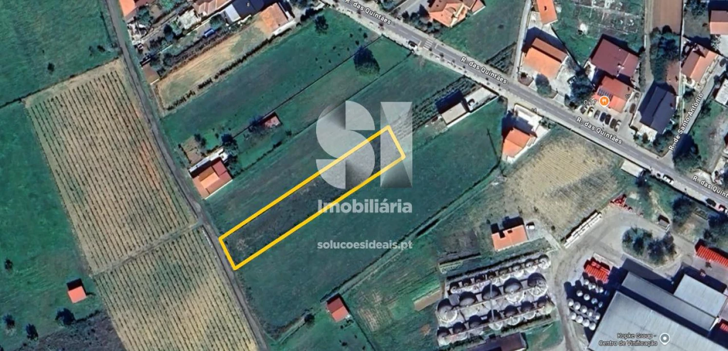 Terreno para Venda em São Martinho de Antas e Paradela de Guiães Foto 22
