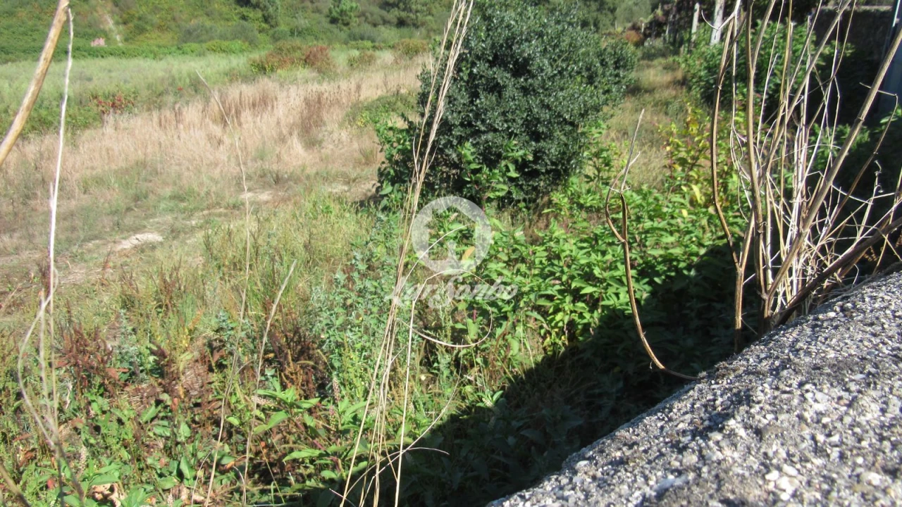 Terreno Misto para Venda em Junqueira Foto 4