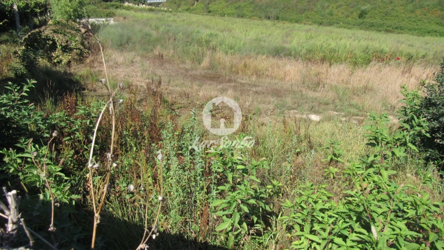 Terreno Misto para Venda em Junqueira Foto 3