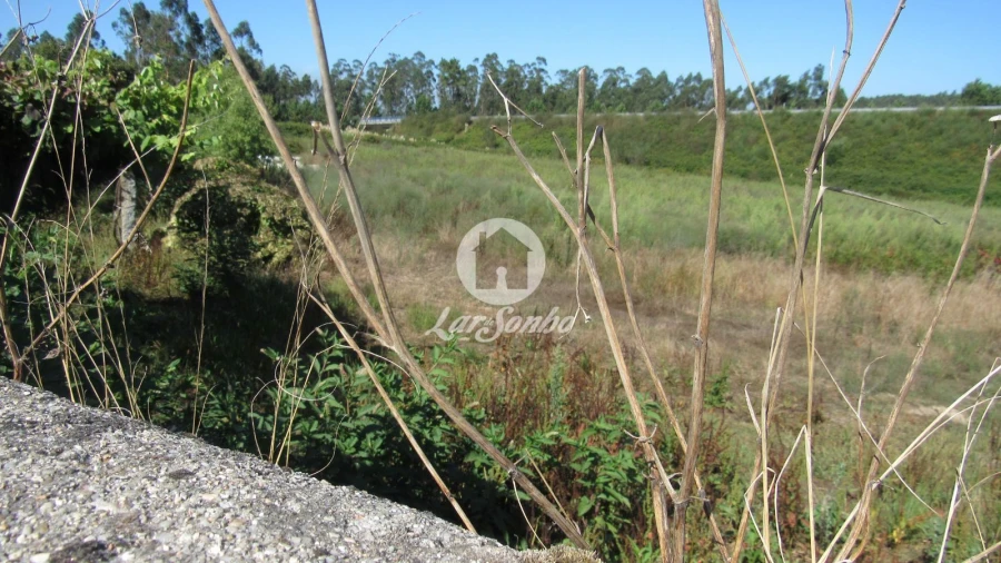 Terreno Misto para Venda em Junqueira Foto 1