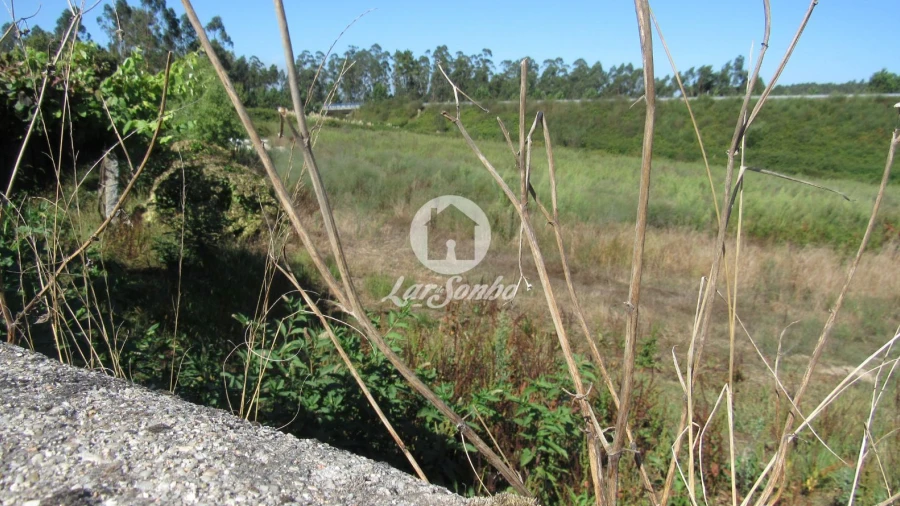 Terreno Misto para Venda em Junqueira