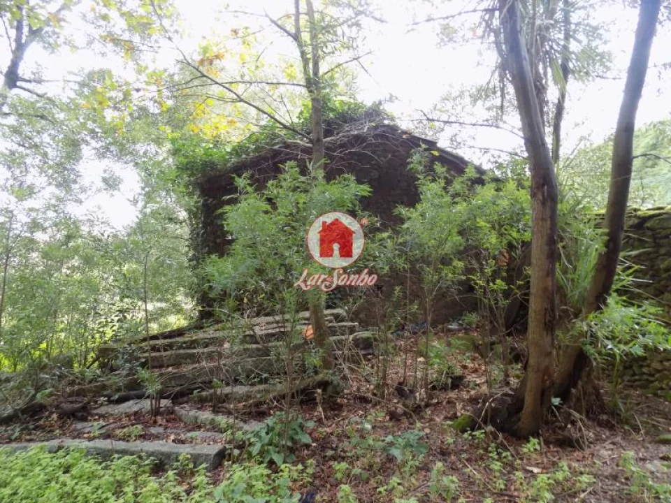 Quinta T0 para Venda em Lousado Foto 4