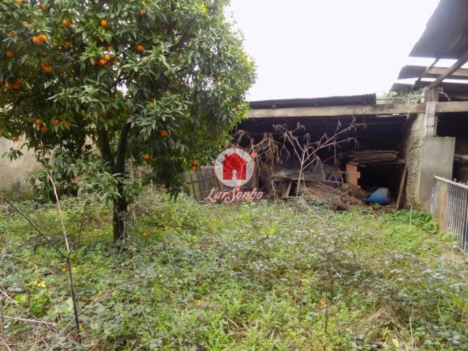 Quinta T0 para Venda em Lousado Foto 17