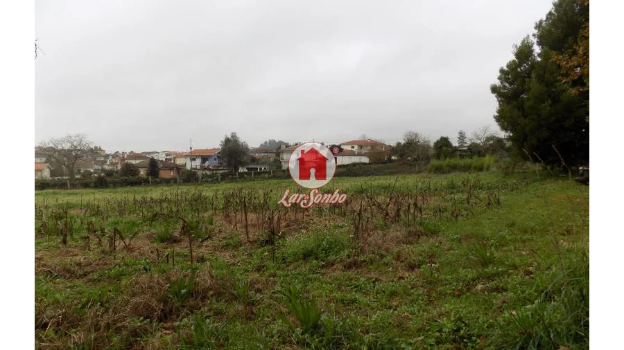 Quinta T0 para Venda em Lousado