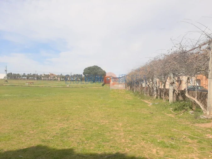 Quinta T3 para Venda em Ribeira de Fraguas Foto 28