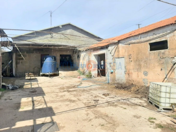 Quinta T3 para Venda em Ribeira de Fraguas Foto 14