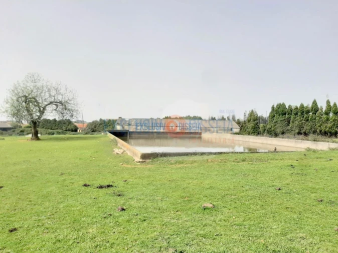 Quinta T3 para Venda em Ribeira de Fraguas Foto 17