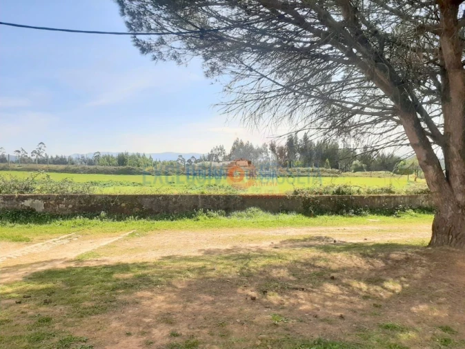 Quinta T3 para Venda em Ribeira de Fraguas Foto 9