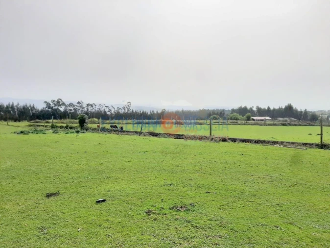 Quinta T3 para Venda em Ribeira de Fraguas Foto 22