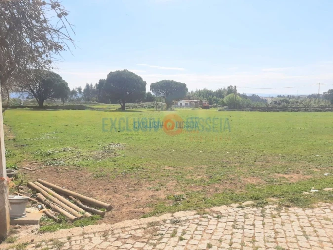 Quinta T3 para Venda em Ribeira de Fraguas Foto 10