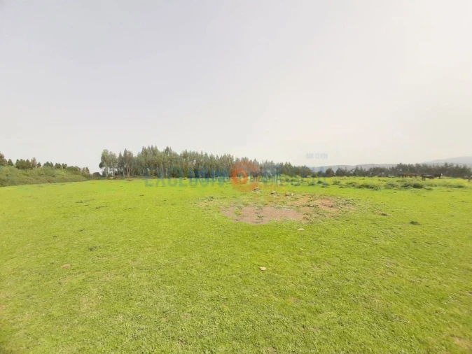 Quinta T3 para Venda em Ribeira de Fraguas Foto 26