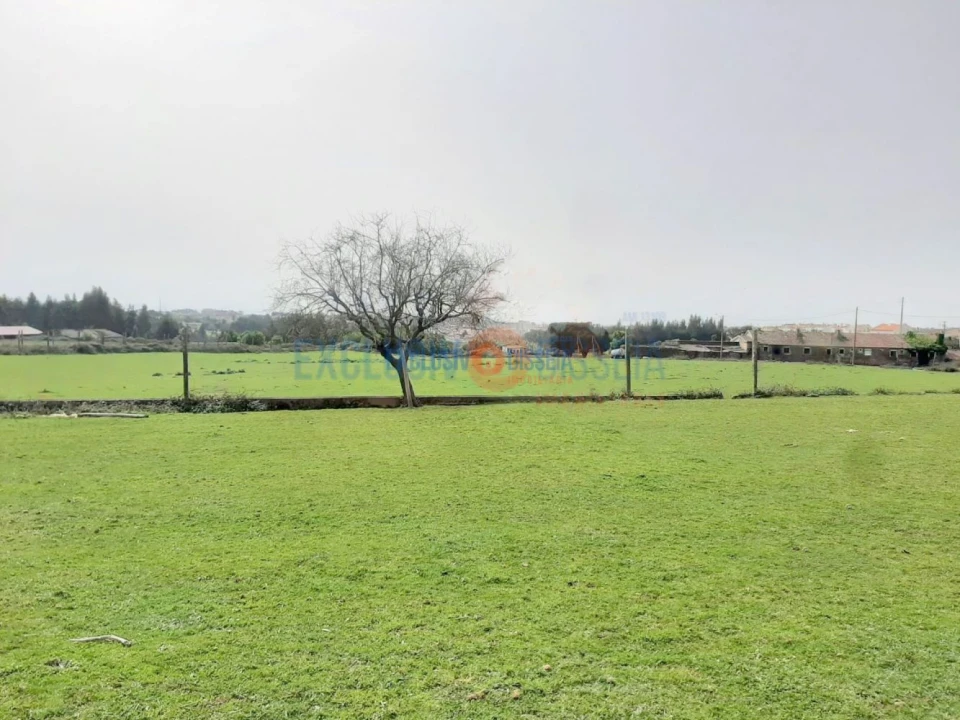 Quinta T3 para Venda em Ribeira de Fraguas Foto 24