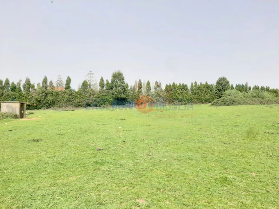 Quinta T3 para Venda em Ribeira de Fraguas Foto 19