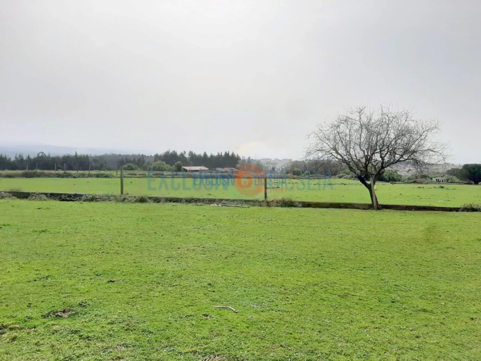 Quinta T3 para Venda em Ribeira de Fraguas Foto 25