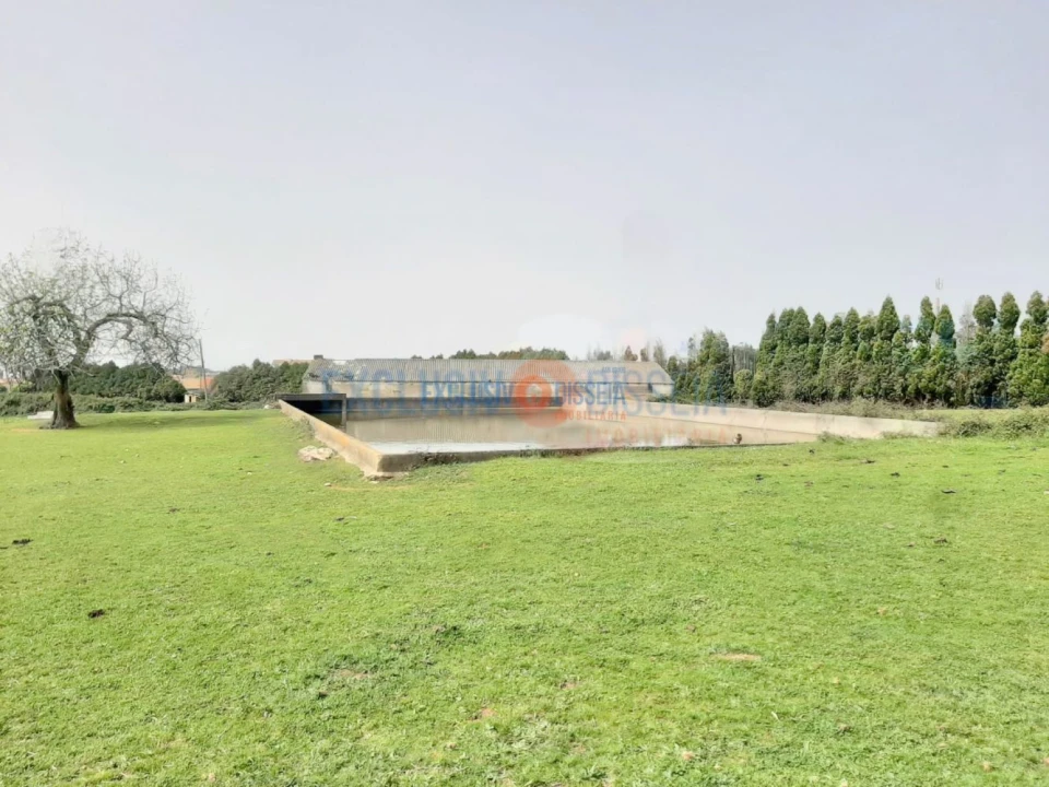 Quinta T3 para Venda em Ribeira de Fraguas Foto 18