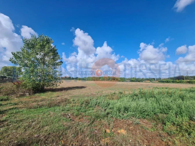 Terreno para Venda em Arcos e Mogofores Foto 3