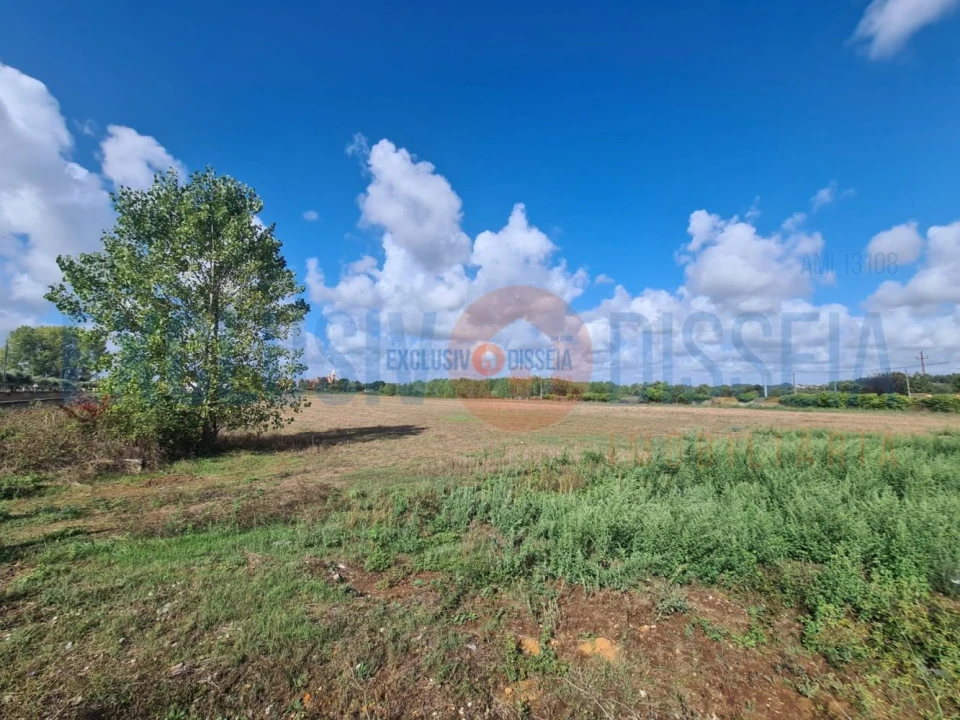 Terreno para Venda em Arcos e Mogofores Foto 3