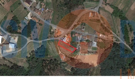 Terreno para Venda em Águeda e Borralha