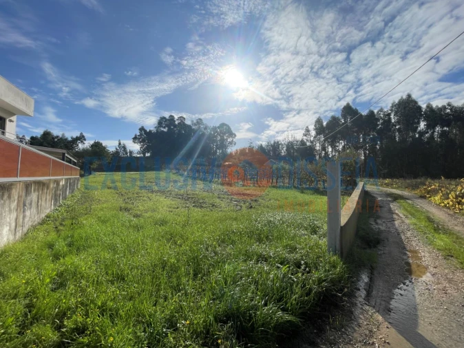 Terreno para Venda em Águeda e Borralha Foto 3