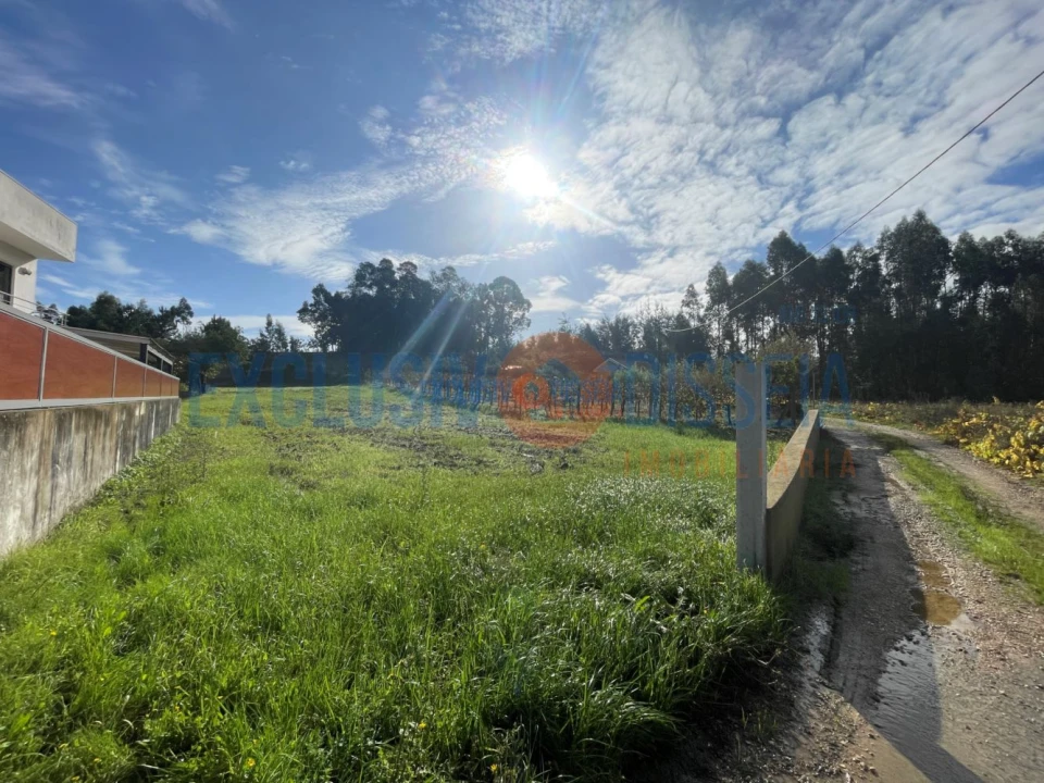 Terreno para Venda em Águeda e Borralha Foto 3