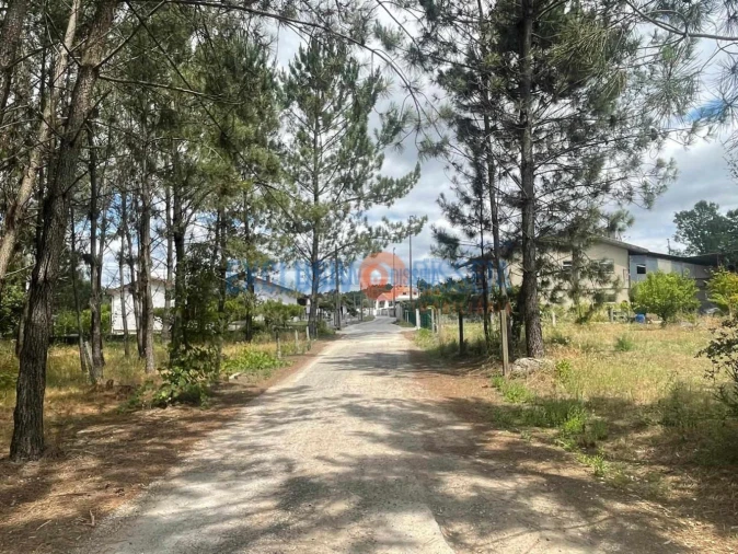 Terreno para Venda em Bustos, Troviscal e Mamarrosa