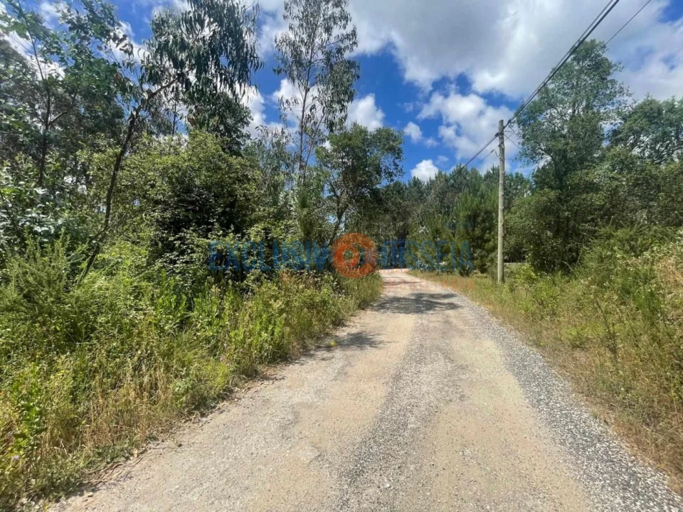 Terreno para Venda em Bustos, Troviscal e Mamarrosa Foto 6