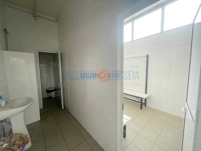 Loja para Venda em Pampilhosa Foto 8