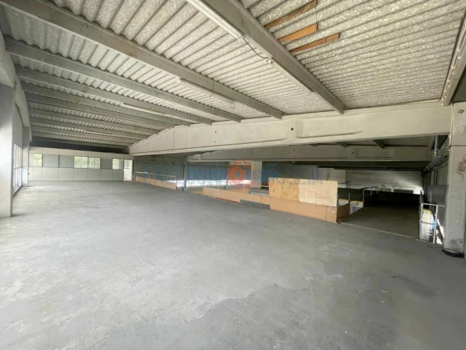 Loja para Venda em Pampilhosa Foto 9