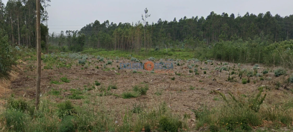 Terreno para Venda em Albergaria-A-Velha e Valmaior Foto 13