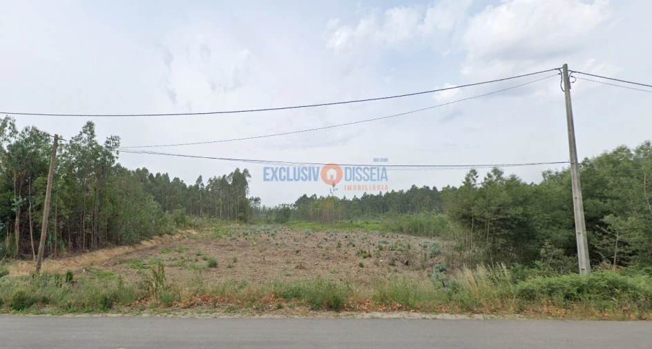 Terreno para Venda em Albergaria-A-Velha e Valmaior Foto 11