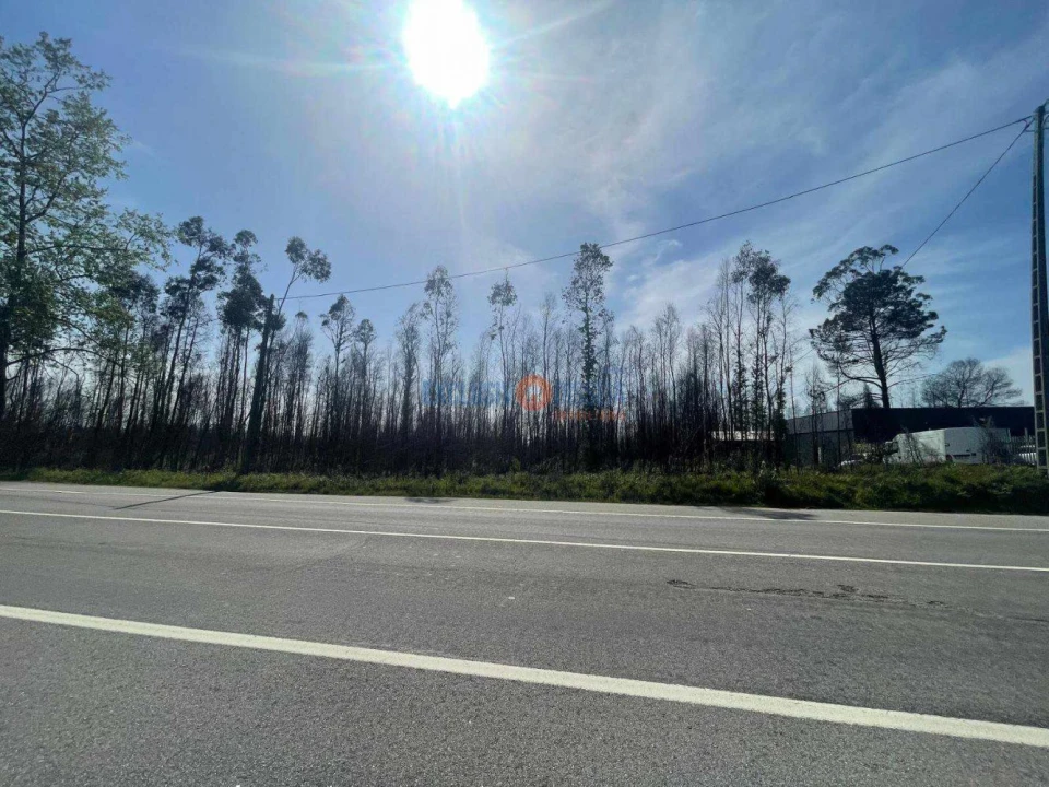 Terreno para Venda em Albergaria-A-Velha e Valmaior Foto 9