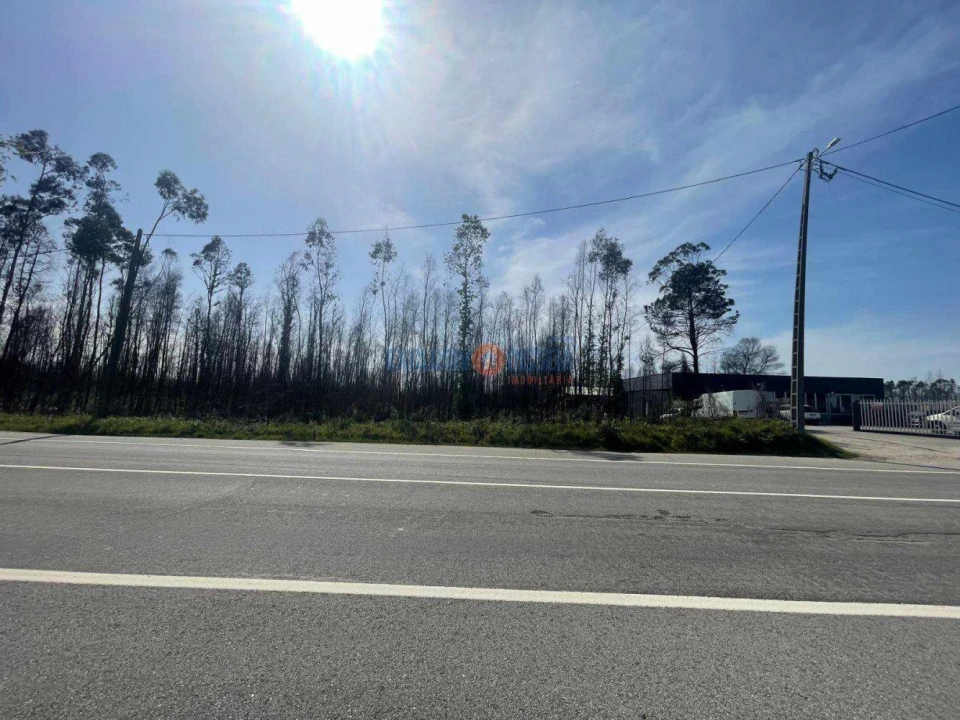 Terreno para Venda em Albergaria-A-Velha e Valmaior Foto 1