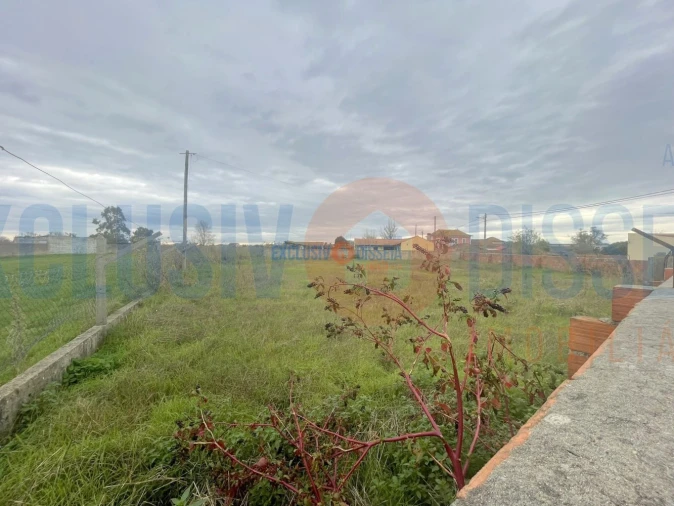 Terreno para Venda em Beduído e Veiros Foto 7