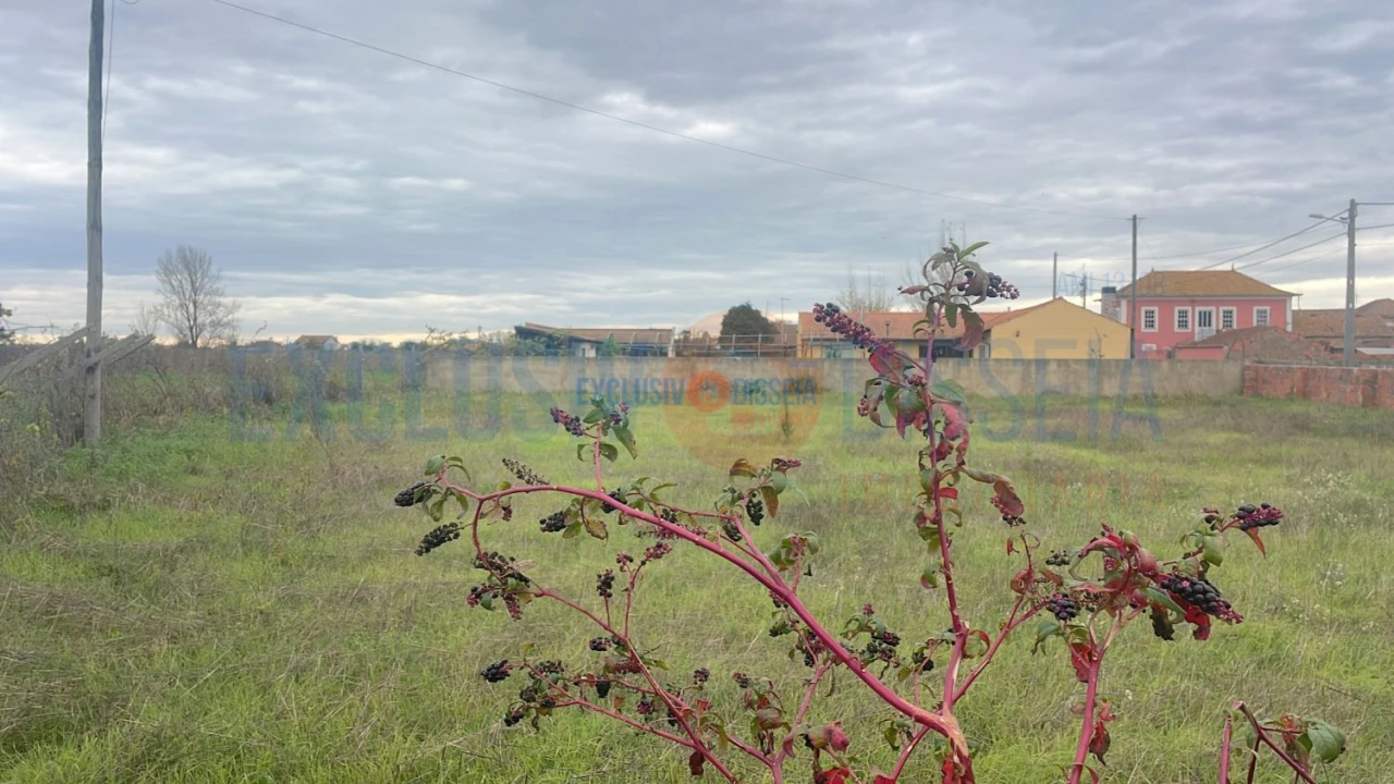 Terreno para Venda em Beduído e Veiros Foto 5