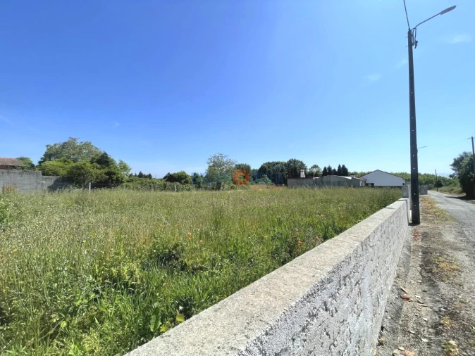 Terreno para Venda em Trofa, Segadães e Lamas do Vouga Foto 3