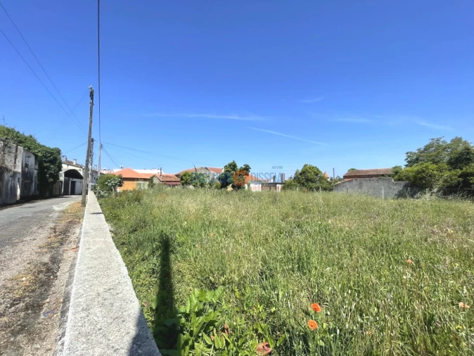 Terreno para Venda em Trofa, Segadães e Lamas do Vouga Foto 5