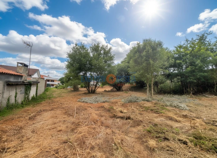 Moradia T3 para Venda em Barrô e Aguada de Baixo Foto 10