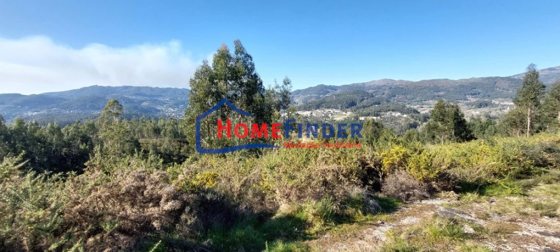 Terreno para Venda em Verim, Friande e Ajude Foto 10