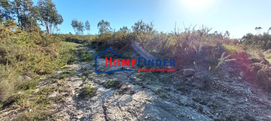 Terreno para Venda em Verim, Friande e Ajude Foto 8